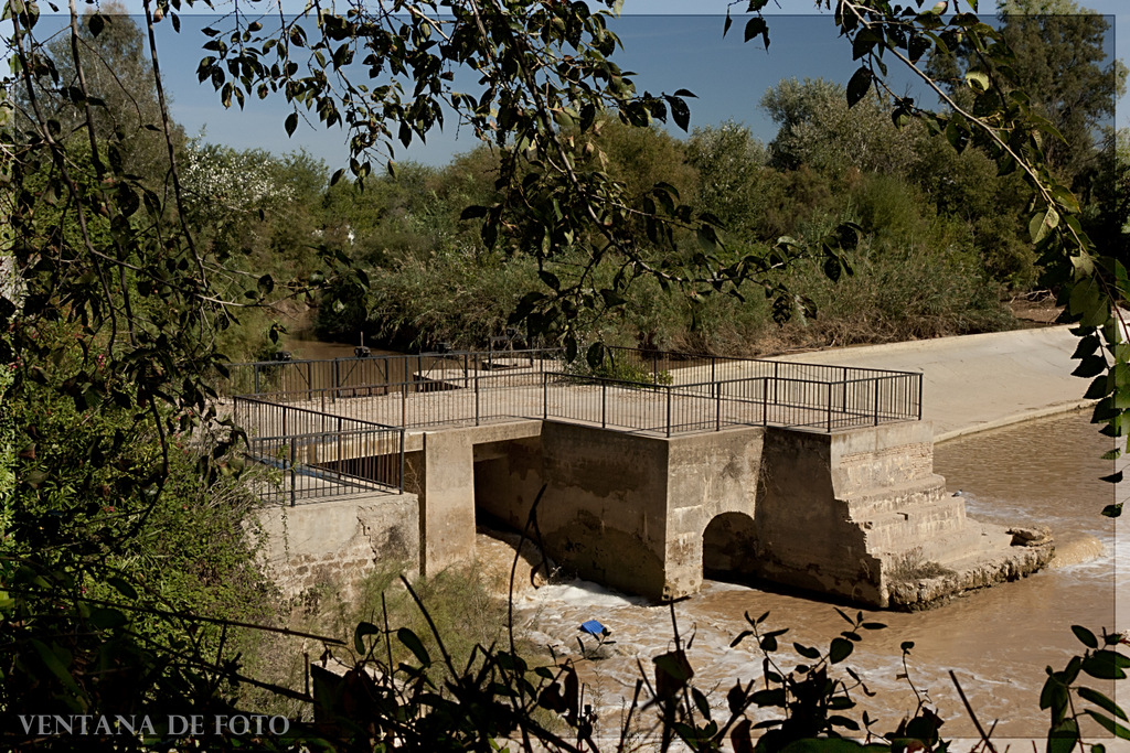 Foto: MARGEN DEL RÍO GENIL - Palma Del Río (Córdoba), España