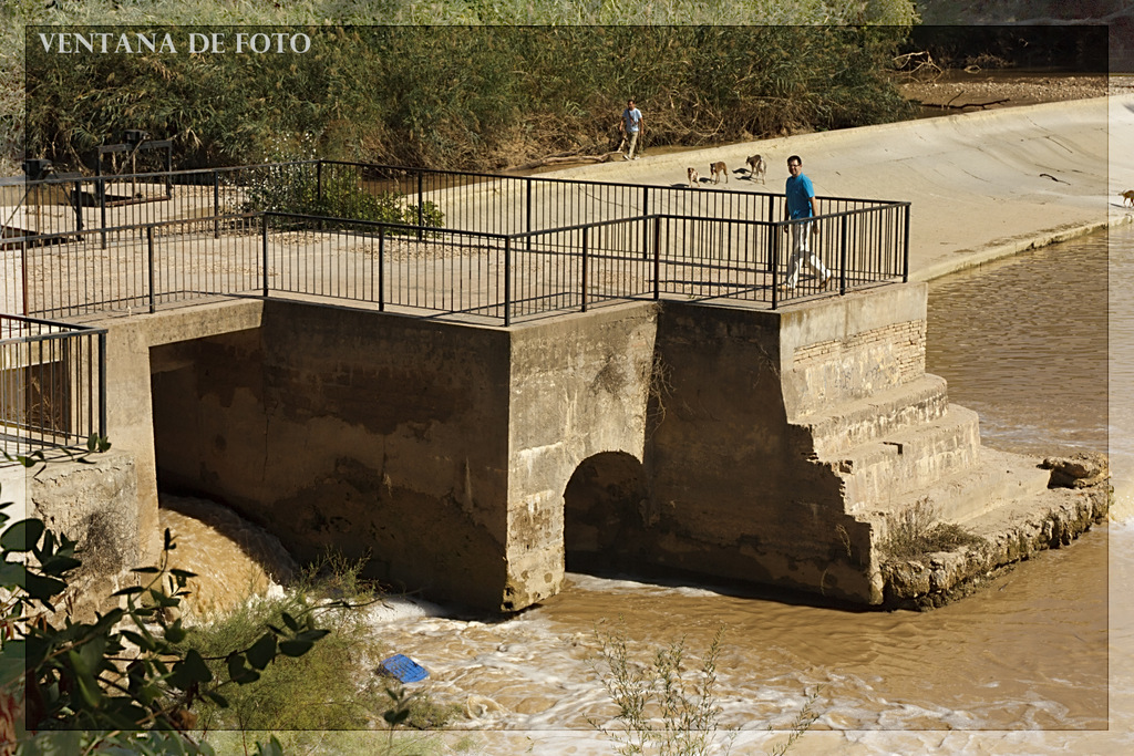 Foto: MARGEN DEL RÍO GENIL - Palma Del Río (Córdoba), España