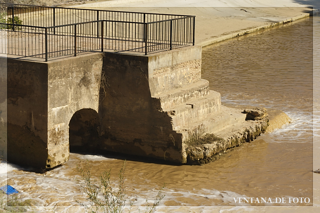Foto: MARGEN DEL RÍO GENIL - Palma Del Río (Córdoba), España