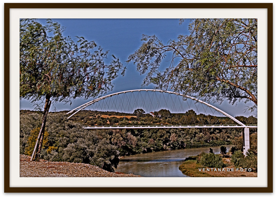 Foto: RÍO GUADALQUIVIR - Palma Del Río (Córdoba), España