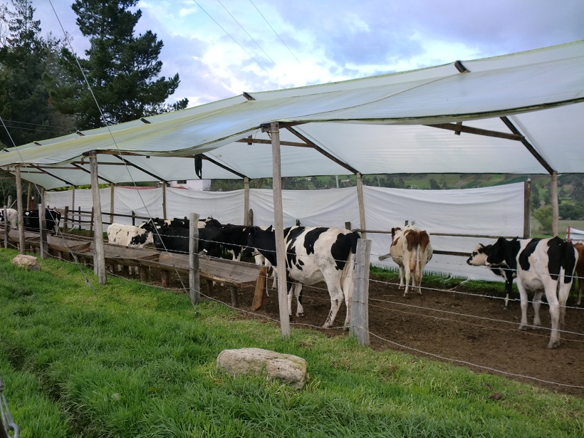 Foto de Guanguita (Cundinamarca), Colombia