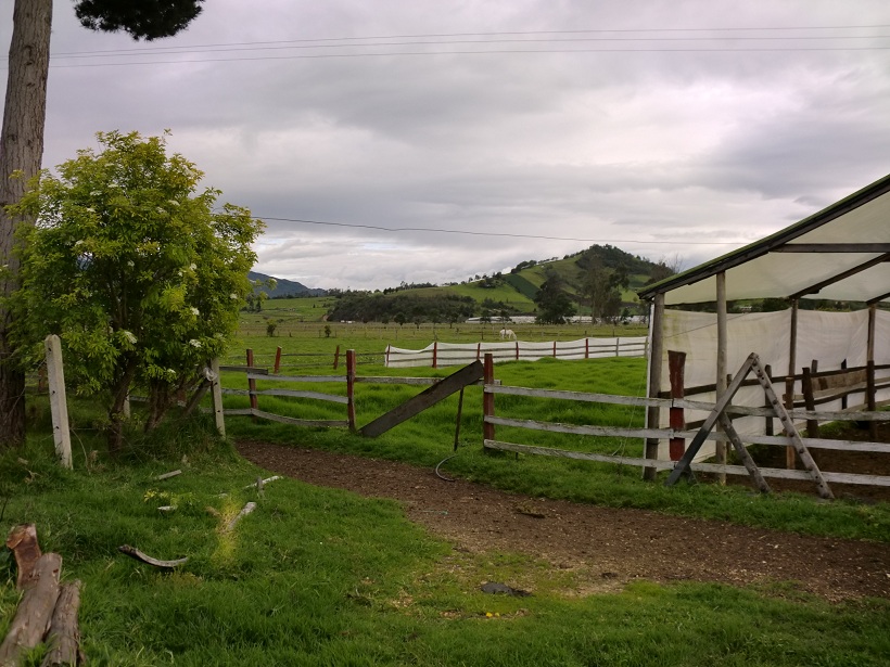 Foto de Guanguita (Cundinamarca), Colombia