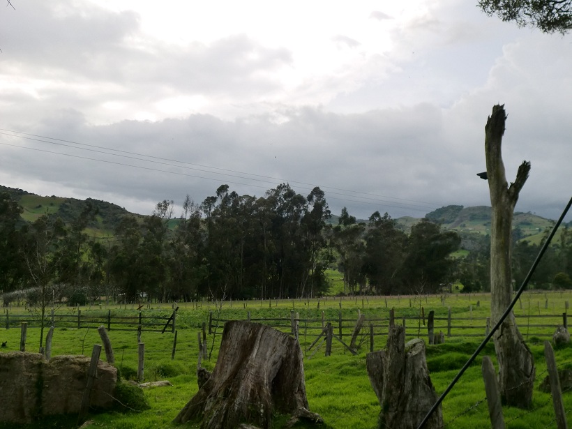 Foto de Guanguita (Cundinamarca), Colombia
