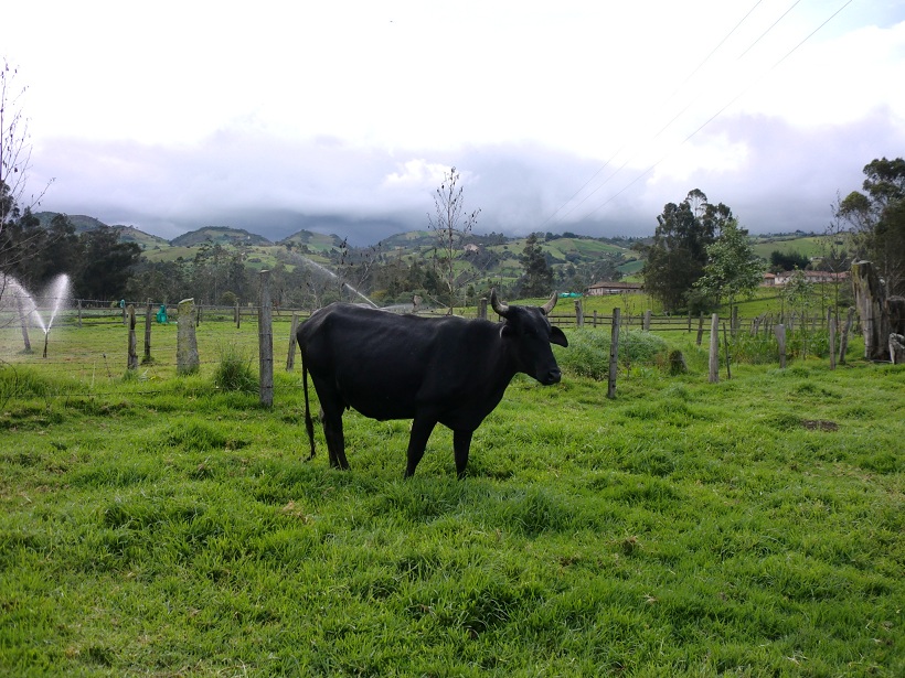 Foto de Guanguita (Cundinamarca), Colombia