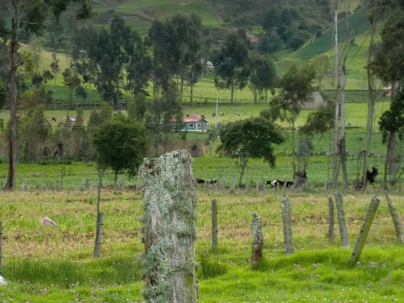 Foto de Guanguita (Cundinamarca), Colombia
