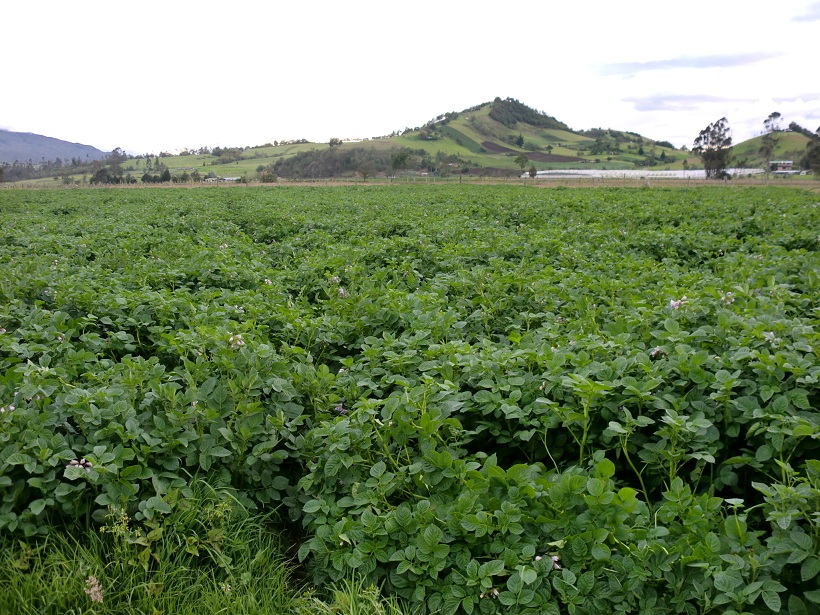 Foto de Guanguita (Cundinamarca), Colombia