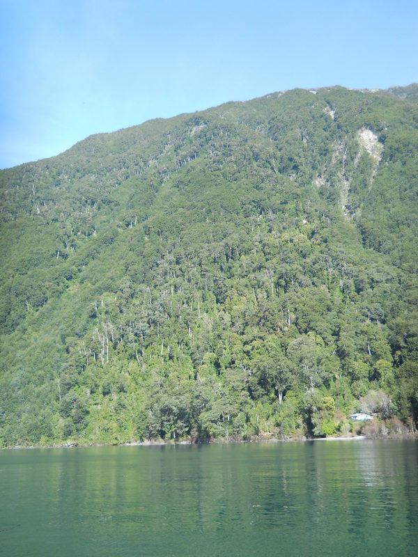 Foto: Lago Todos Los Santos - Puerto Varas (Los Lagos), Chile