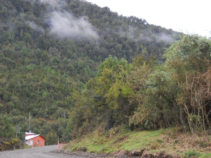 Foto: Hualaihue - Hualaihue (Los Lagos), Chile