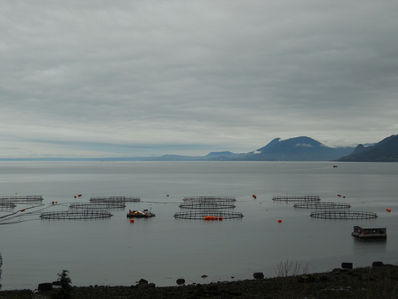 Foto: Hualaihue - Hualaihue (Los Lagos), Chile