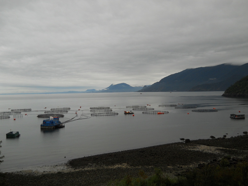 Foto: Hualaihue - Hualaihue (Los Lagos), Chile