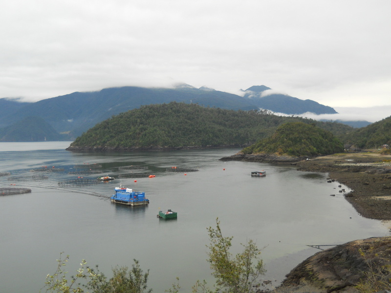 Foto: Hualaihue - Hualaihue (Los Lagos), Chile