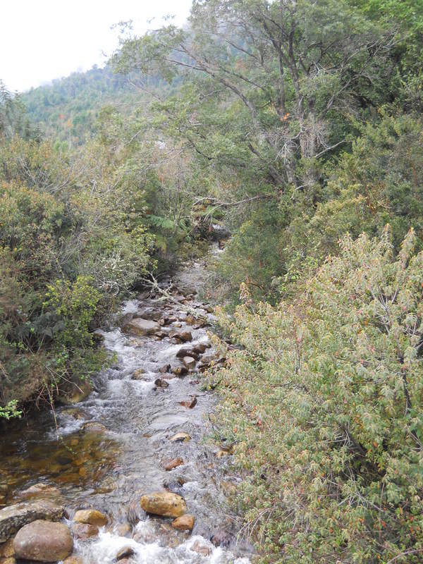 Foto: Hualaihue - Hualaihue (Los Lagos), Chile