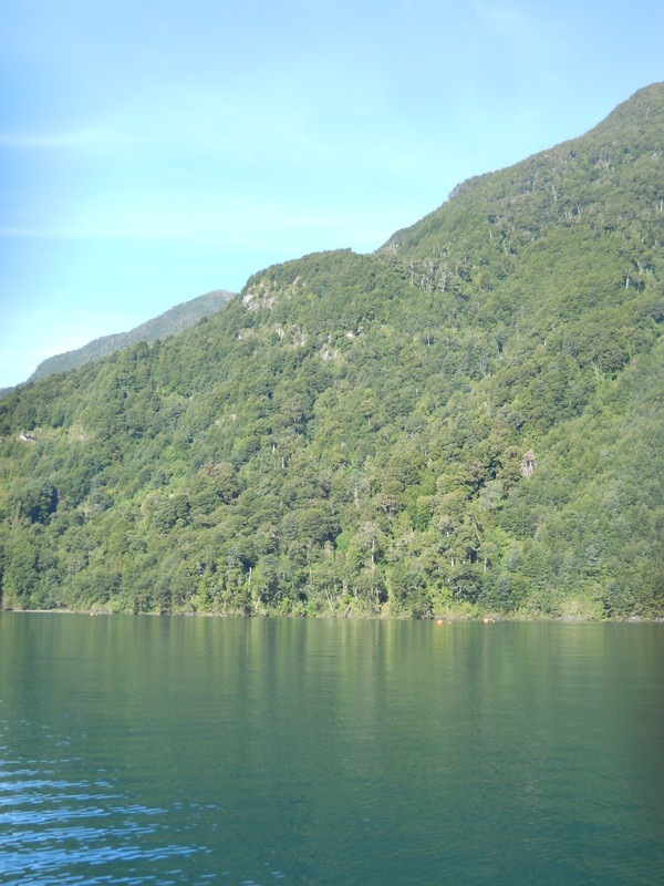 Foto: Puerto Varas - Puerto Varas (Los Lagos), Chile