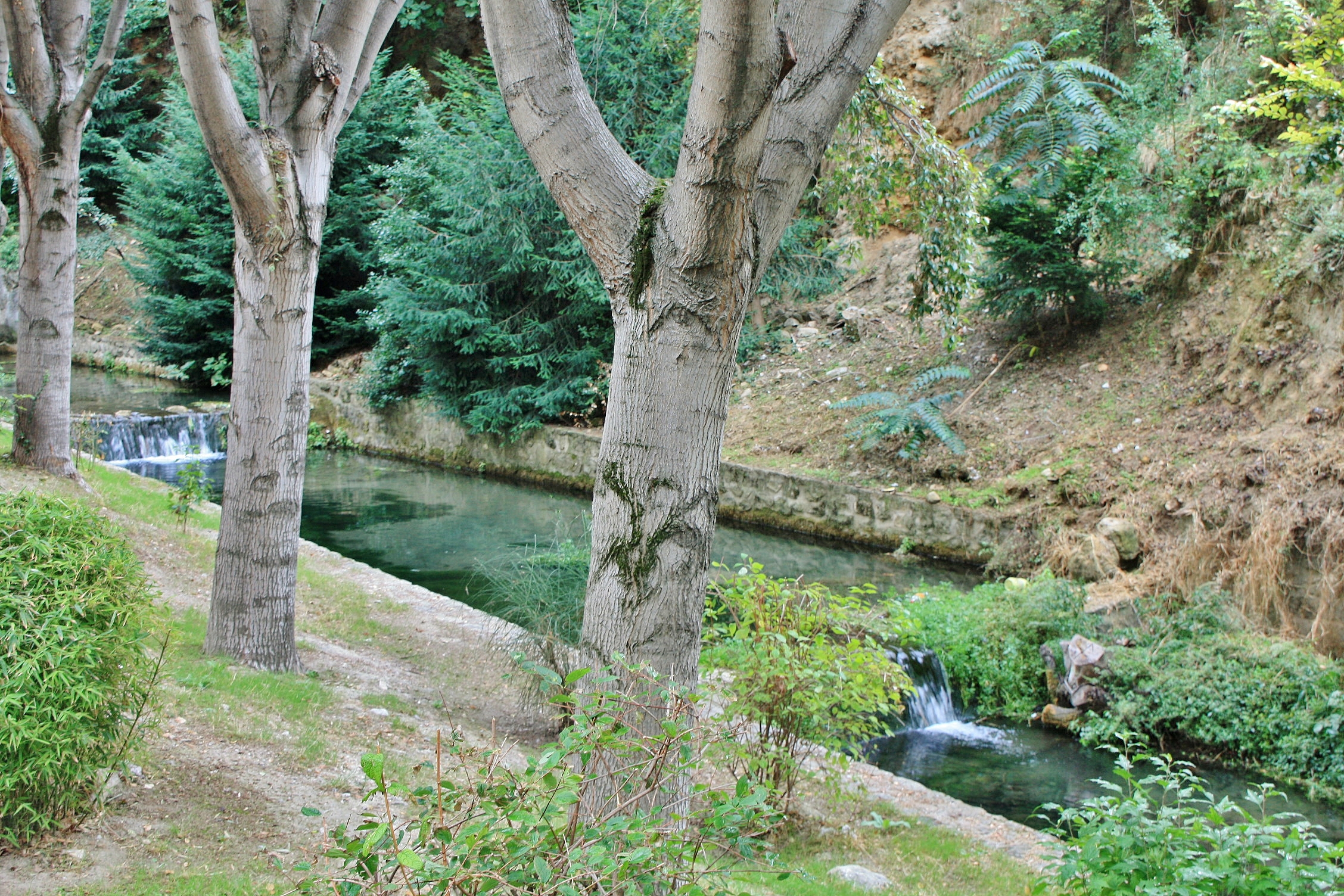 Foto: Rio Cerezuelo - Cazorla (Jaén), España