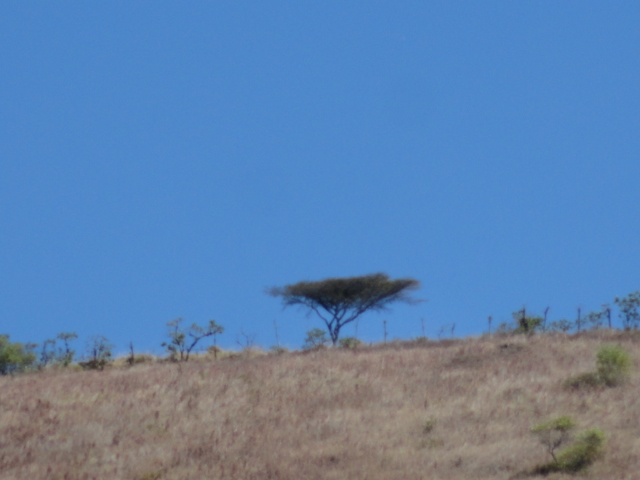 Foto: Balneario de Chachimbiro - Ibarra (Imbabura), Ecuador