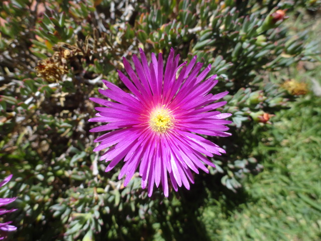 Foto: Balneario de Chachimbiro - Ibarra (Imbabura), Ecuador