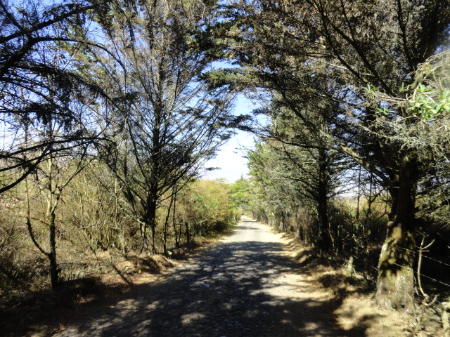 Foto: Balneario de Chachimbiro - Ibarra (Imbabura), Ecuador