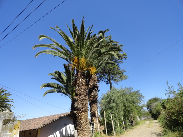 Foto: paisaje - Urcuqui (Imbabura), Ecuador