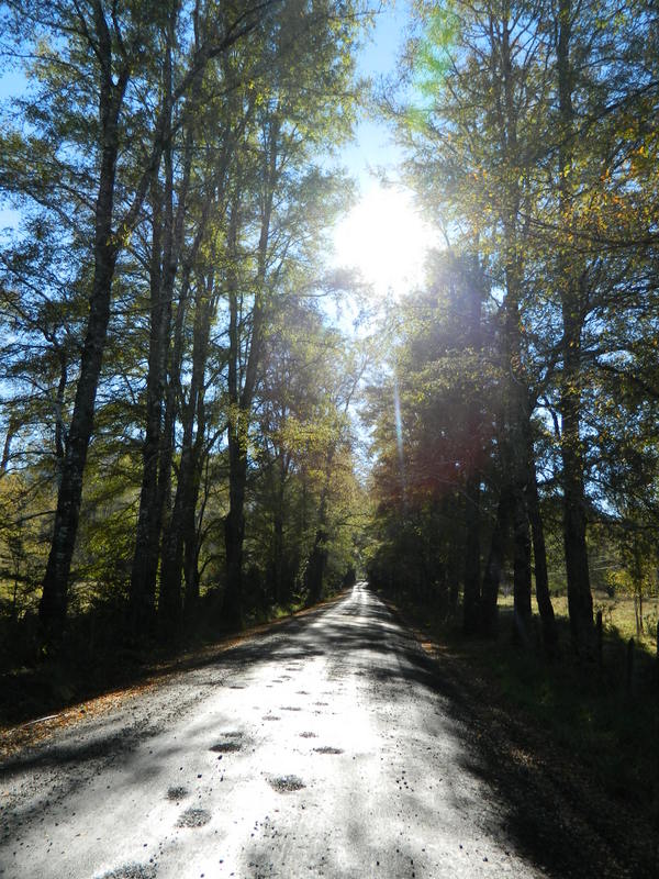 Foto: Pucon - Pucon (Araucanía), Chile