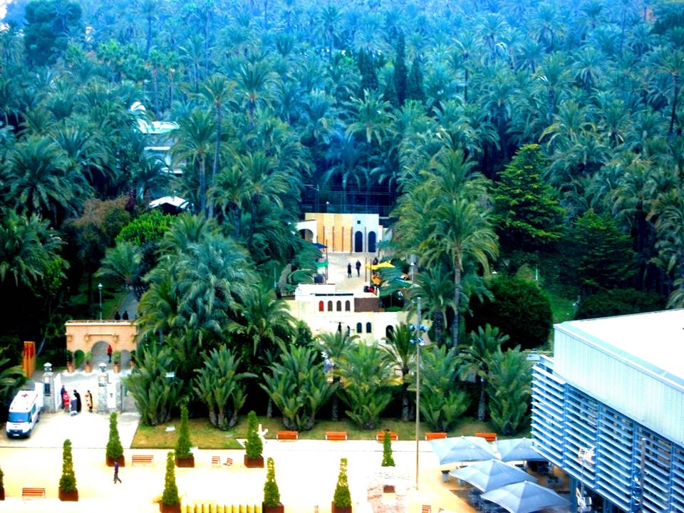 Foto: Huerto del chocolate - palmeral de Elche - Elche (València), España