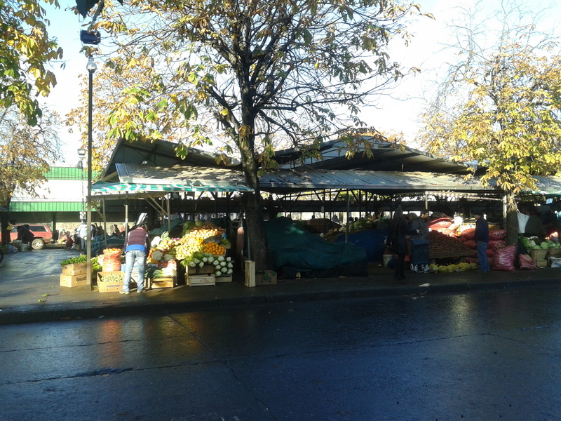 Foto: Temuco - Temuco (Araucanía), Chile