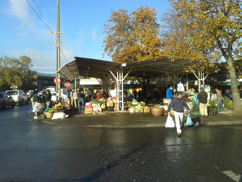 Foto: Temuco - Temuco (Araucanía), Chile