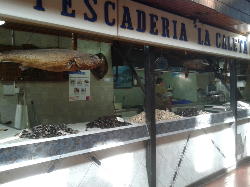 Foto: Temuco - Temuco (Araucanía), Chile