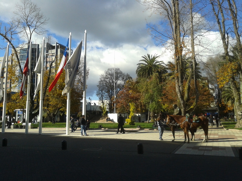 Foto: Temuco - Temuco (Araucanía), Chile