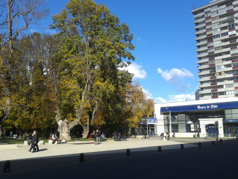 Foto: Temuco - Temuco (Araucanía), Chile