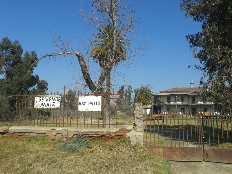Foto: Pomaire - Pomaire (Región Metropolitana), Chile