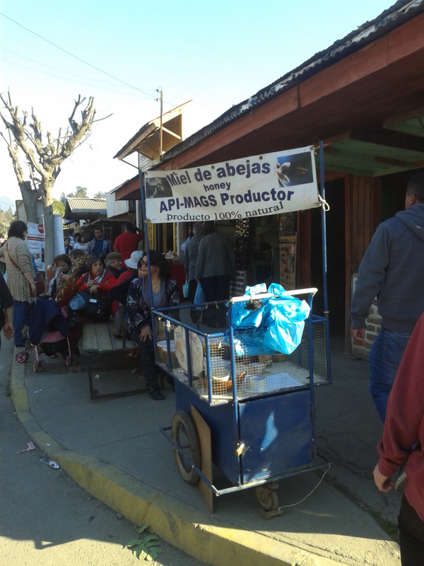 Foto: Pomaire - Pomaire (Región Metropolitana), Chile