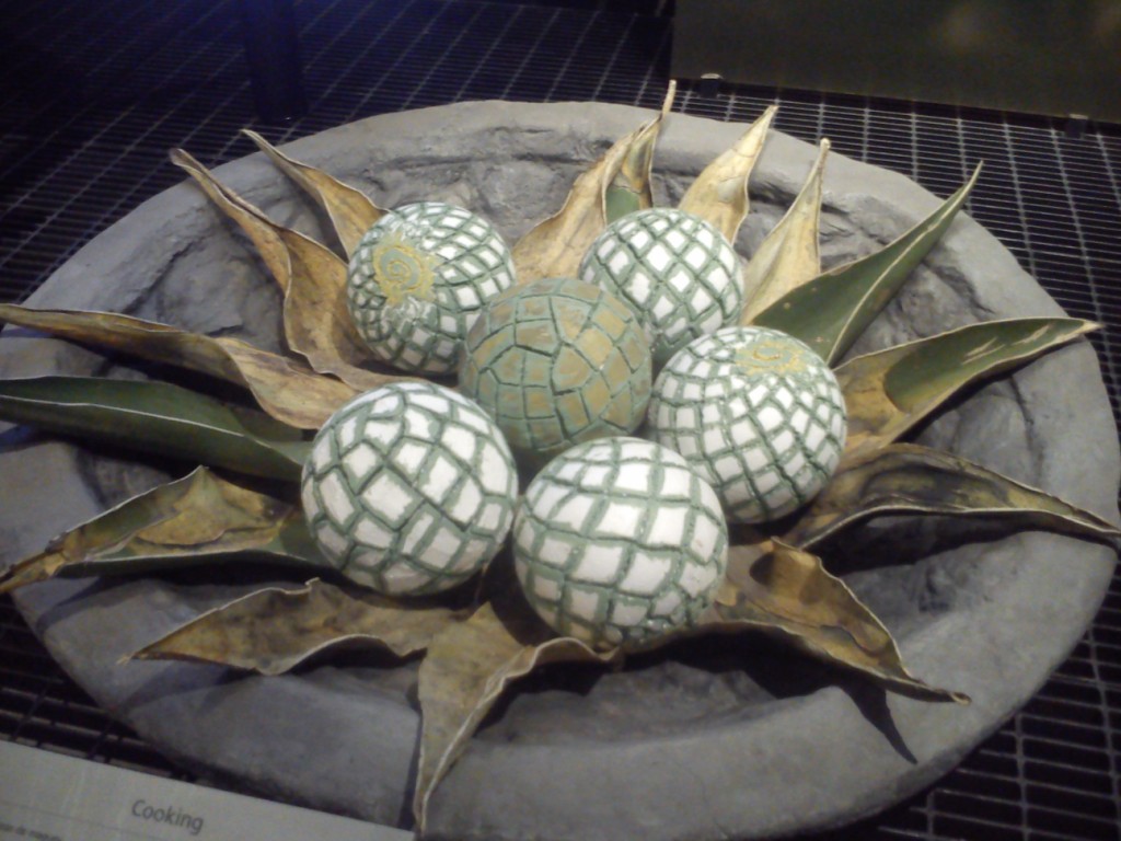 Foto: Museo del Tequila - México (The Federal District), México