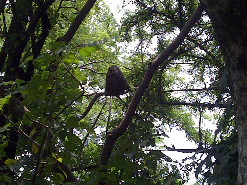 Foto de Chalatenango, El Salvador