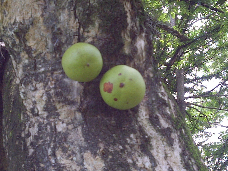 Foto de Chalatenango, El Salvador