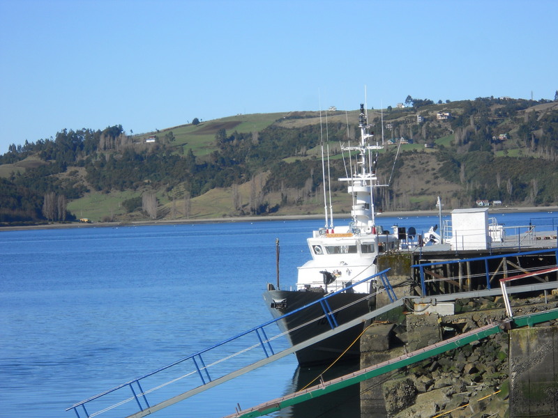 Foto: Castro - Castro (Los Lagos), Chile