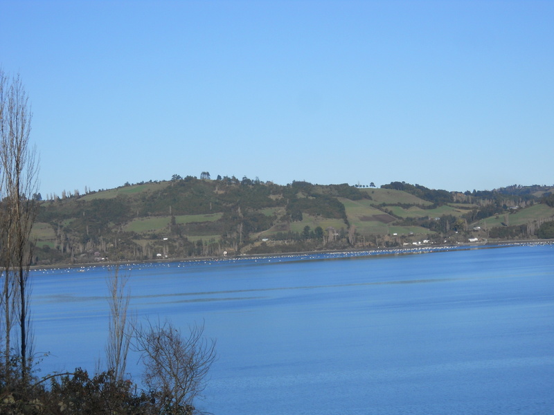 Foto: Castro - Castro (Los Lagos), Chile