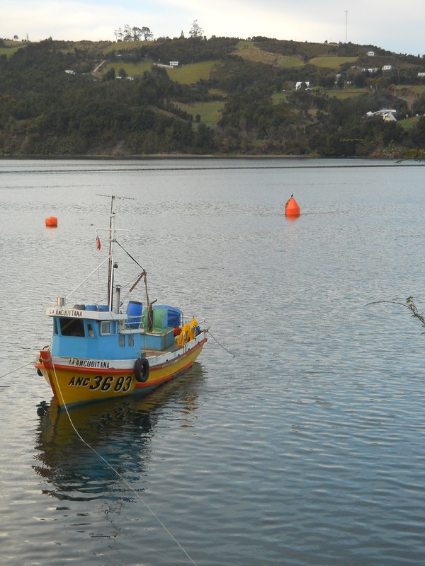 Foto: Dalcahue - Dalcahue (Los Lagos), Chile