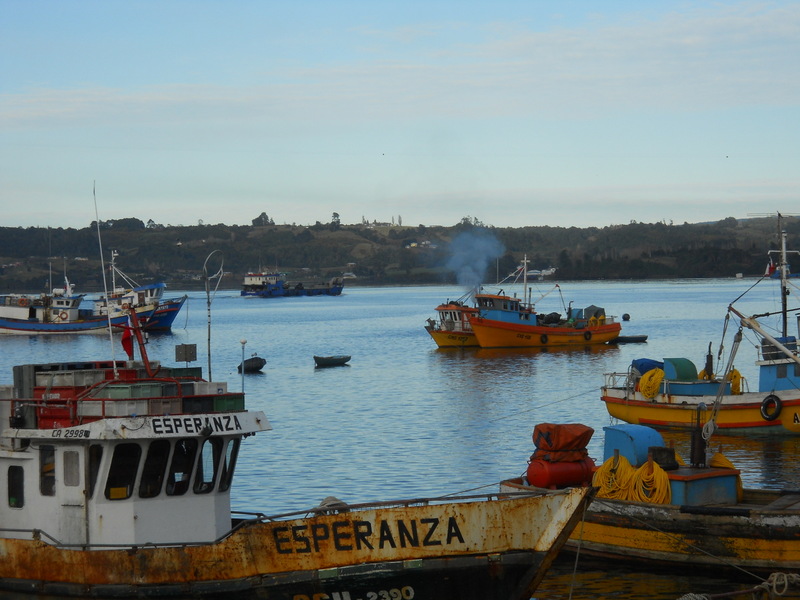 Foto: Dalcahue - dalcahue (Los Lagos), Chile