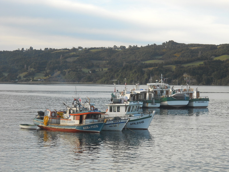 Foto: dalcahue - Dalcahue (Los Lagos), Chile