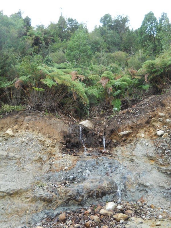 Foto: Caleta La Arena - Puerto Montt (Los Lagos), Chile