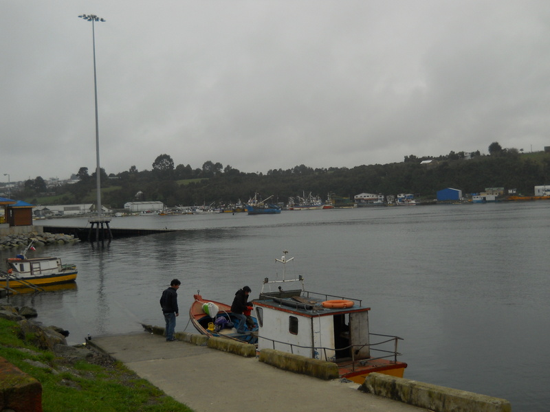 Foto: Calbuco - Calbuco (Los Lagos), Chile