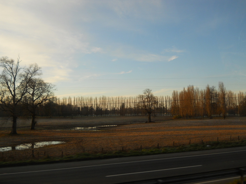 Foto: Sur De Chile - Sur De Chile (Los Lagos), Chile