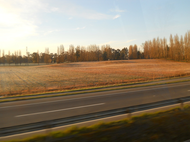 Foto: Sur De Chile - Sur De Chile (Los Lagos), Chile