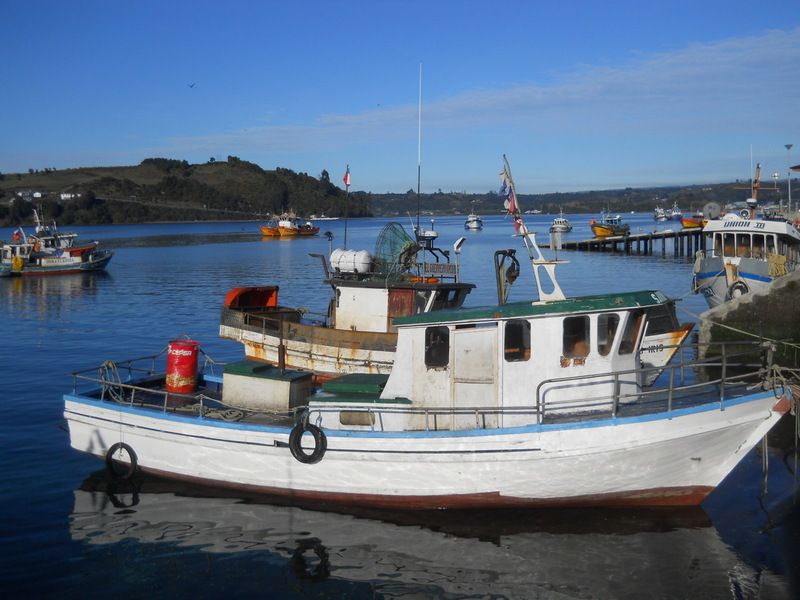 Foto: Dalcahue - Dalcahue (Los Lagos), Chile