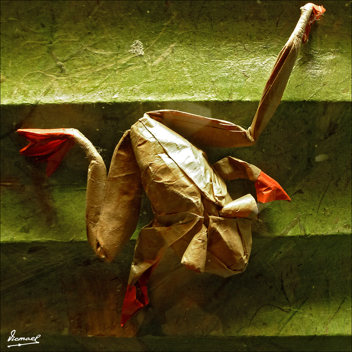 Foto: 130317-24 PAPIROFLEXIA - Zaragoza (Aragón), España