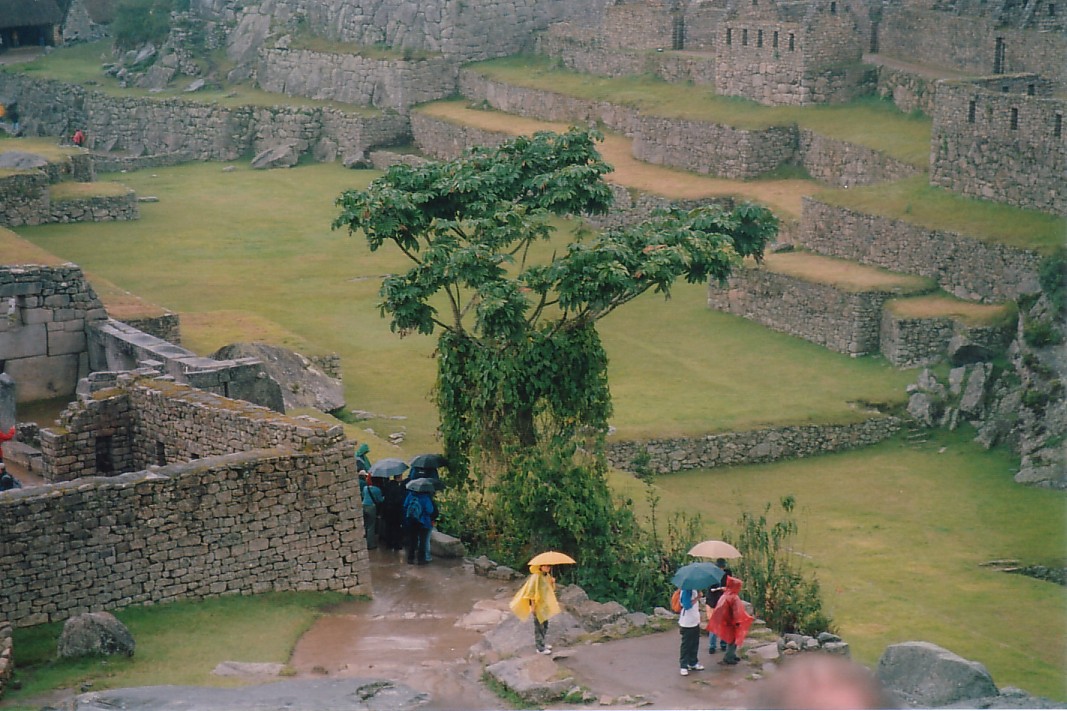Foto de Cuzco (Cusco), Perú