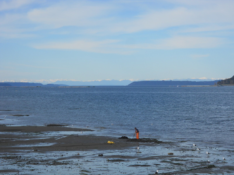 Foto: Dalcahue - Dalcahue (Los Lagos), Chile
