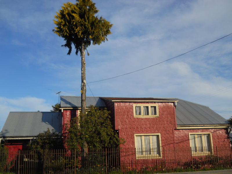 Foto: Dalcahue - Dalcahue (Los Lagos), Chile