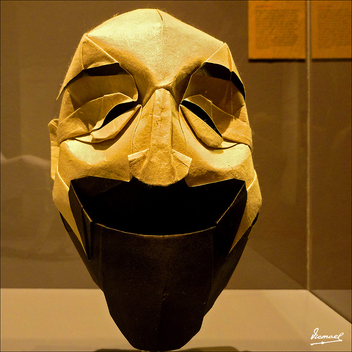 Foto: 130324-57 PAPIROFLEXIA C H Z - Zaragoza (Aragón), España