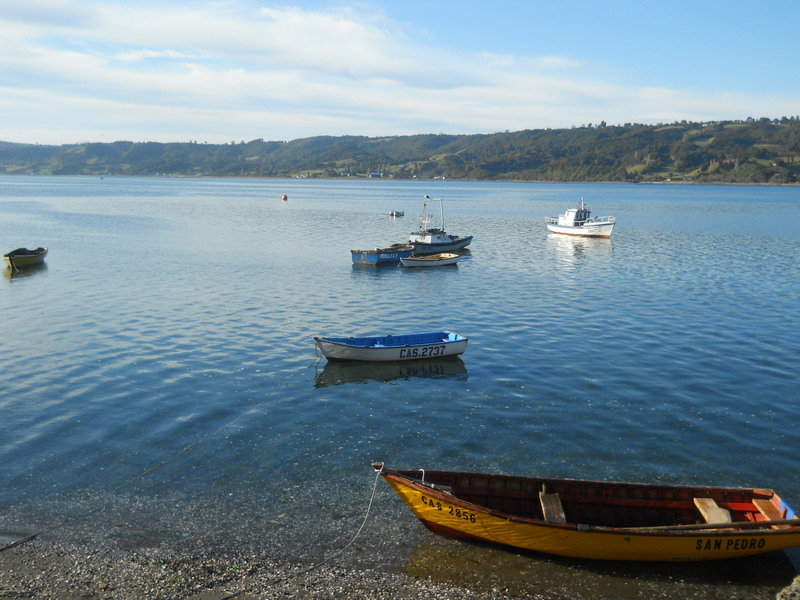 Foto: Dalcahue - Dalcahue (Los Lagos), Chile
